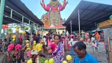 விழுப்புரம் அரசூர் வாராகி அம்மன் கோவிலில் கோலாகலமாக நடைபெற்ற கருட பஞ்சமி திருவிழா