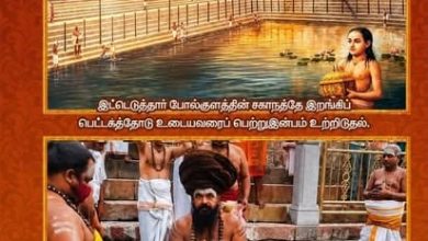 மயிலாடுதுறை தருமபுரம் ஸ்ரீ சொக்கநாதர் பூசைமடத்தில் ஆவணிமூல திருவிழா கோலாகலம்