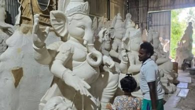 விழுப்புரம் அய்யன்கோவில்பட்டில் விநாயகர் சிலை தயாரிக்கும் பணி மும்முரம்: விநாயகர் சதுர்த்த