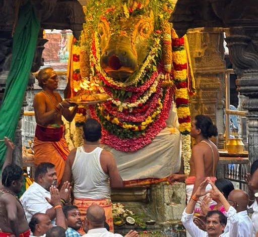 திருவண்ணாமலை அண்ணாமலையார் பிரதோஷ தீபாராதனை
