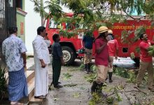 *உப்பளம் தொகுதியில் மழை மற்றும் பலத்த காற்றால் முறிந்து விழுந்த மரக்கிளையை உடனடியாக அப்புற
