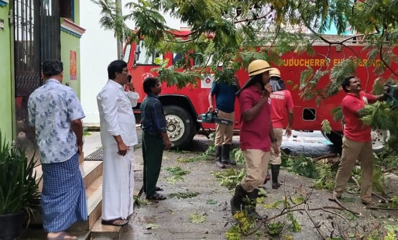 *உப்பளம் தொகுதியில் மழை மற்றும் பலத்த காற்றால் முறிந்து விழுந்த மரக்கிளையை உடனடியாக அப்புற